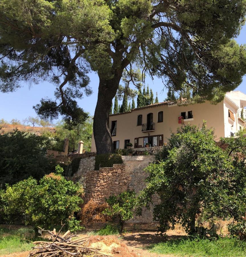 Cortijo El Pino Retreat Albuñuelas Exterior foto