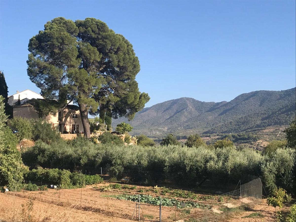 Cortijo El Pino Retreat Albuñuelas Exterior foto