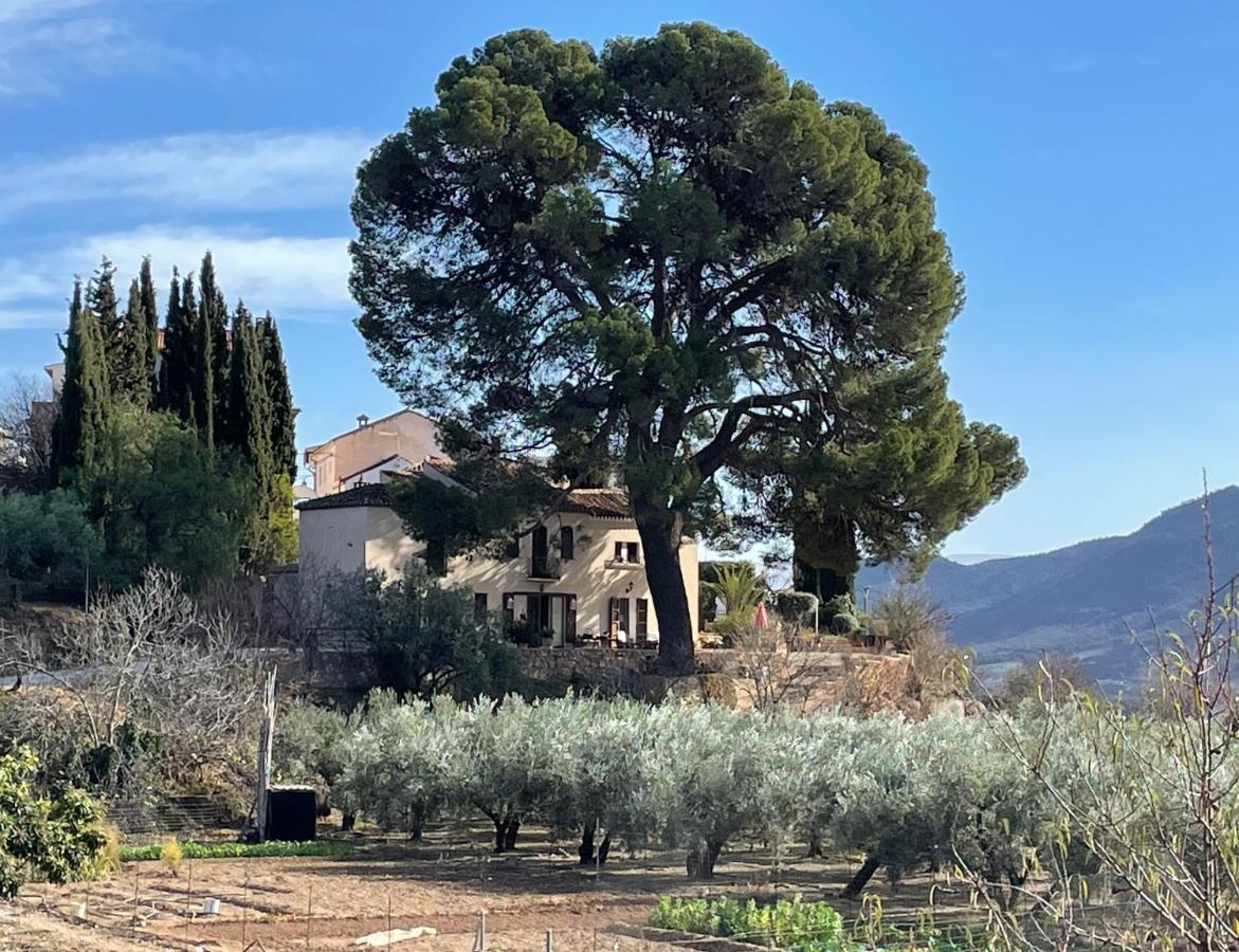 Cortijo El Pino Retreat Albuñuelas Exterior foto